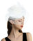 Focupaja Fascinator Hüte Damen Pillbox Hut mit Mesh Schleier Federn Derby Stirnband Hochzeit Kopfbedeckung Tea Party Haarspange 1950er Vintage Fascinator W4-48-Weiß