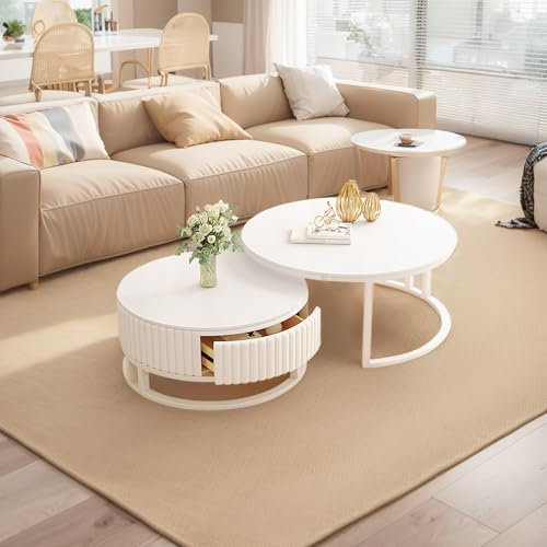 GonTzolkin Ronde Tables Gigognes De Salon Lot De 2 Blanche Table De Salon Basse avec Rangement Moderne Table Basse en Bois Blanc Laqué Table Basse Marbre pour Salon Chambre Bureau Facile À Assembler