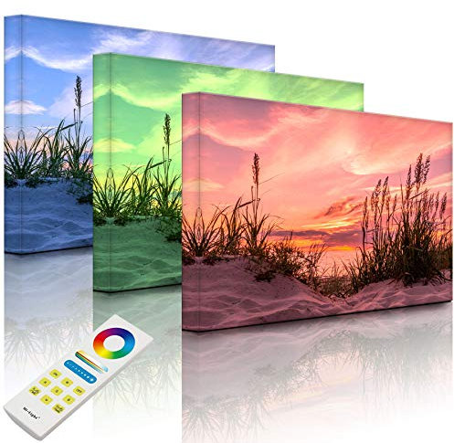 Lightbox-Multicolor | LED Bild Leuchtbild | Gras am Strand bei Sonnenuntergang | 80x60 cm | Fully Lighted