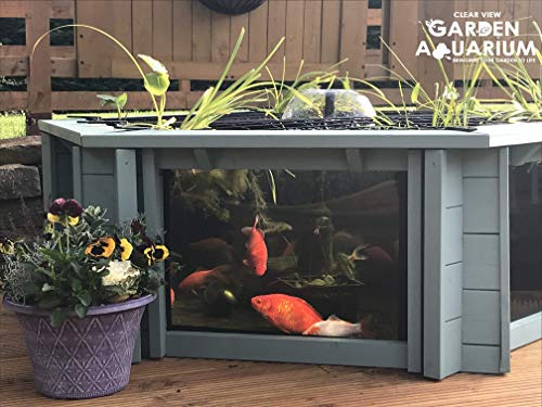 Clear View Garden Aquarium Lily Seegras grün – erhöhter sechseckiger Teich