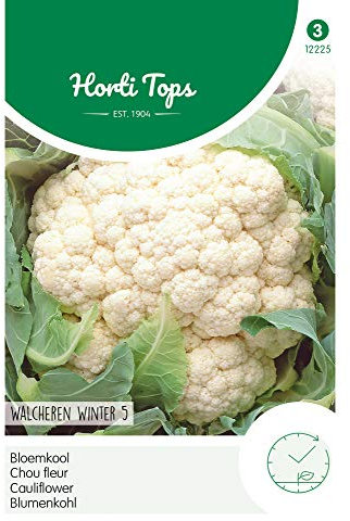 Hortitops 12225 Coliflor Walcheren Winter 5 (semillas de coliflor)