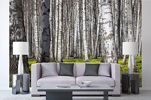 Vlies Fototapete BIRKEN 375 x 250 cm (inkl. Kleister) - Vlies Tapete, Wandtapete, Wandbilder - Tapete für Wohnzimmer Schlafzimmer, Büro, Küche - Montagefertig