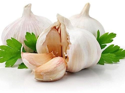 Generic Semillas de ajo, 200 piezas Semillas de ajo Cultivadas Vegetales Jardín de hierbas Granja Patio Balcón Planta de bonsái Semillas de ajo