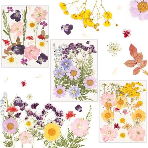 Natürliche Getrocknete Blumen 66 Stück DIY Trockenblumen Deko Gepresste Blumen Getrocknete Blätter Gänseblümchen für DIY Kerzen Harz Schmuck Nagel Anhänger Kunsthandwerk Kunst Blumen Dekoration