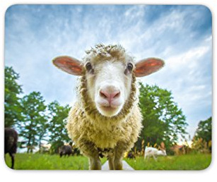 Destination Vinyl Ltd Funny Sheep Mouse Mat Pad - Lamb Farm Farmer Cattle PC Computer #8389