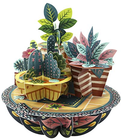 SANTORO Pirouette, Biglietto D'Auguri Pop-Up 3D - Piante In Vaso - Per Lui, Lei, Mamma, Compleanno, Nuova Casa, Nuovo Lavoro, Grazie | Regalo Di Inaugurazione Della Casa Per Uomini E Donne