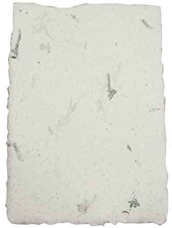 Netuno 5 Blatt Büttenpapier Asparagus DIN A4 ca. 205x 290 mm handgeschöpftes Blumen-Papier Vintage Briefpapier mit Büttenrand für Einladungskarten Papeterie Effektpapier Bastelpapier