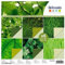 Artemio Green Leaf Scrapbooking-Papier, 12 x 30,5 cm, 6 Blatt