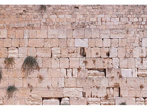 3 x 2,1 m altes Jerusalem-Westermauer-Hintergrund, Israel, Stadtbild