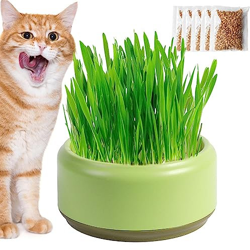 Hailerio Katzengras Set Pflanzset Fertig Mit Samen Katzen Gras Set Cat Grass Pflanzset Für Katzen Katzengras Schale