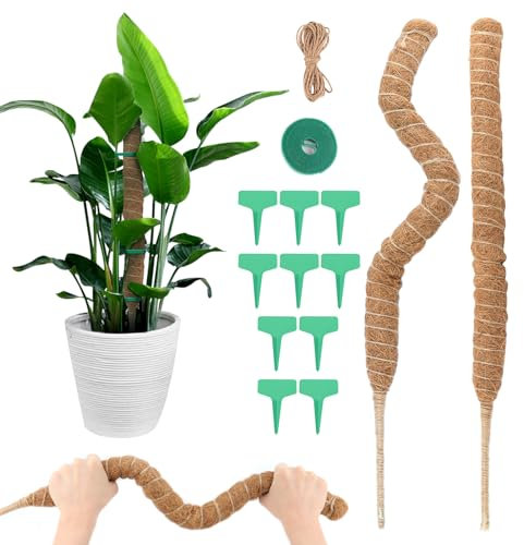 VFANDV Tuteur Monstera, 2pcs 70cm Tuteur Plante Grimpante avec Accessoires Tuteur Monstera Pliable Support de Plante Tuteur de Coco, Support pour Plante Grimpante pour Plantes de Jardin et Pots