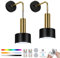 Lightsjoy Battery Operated Wall Sconces Set of 2 Rechargeable 3 Color Temperature 19 Colors RGB Dimmable Lamp Wireless Wall Lights Indoor with Charging Bulbs and Remote Light for Living Room, Black
