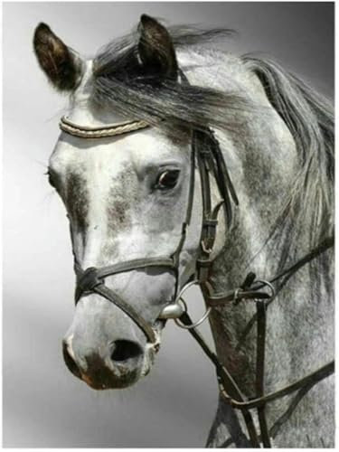 Kreuzstich-Set zum Schnitzen, Schneepferd, Tier, Vordruck, 11 ct, Kreuzstich-Set, Stickerei, DMC-Faden, Stricken, Basteln, Malen, Hobby-Set mit Stickwerkzeugen -40X50CM