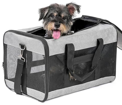 Conlun Hundetransportbox Weichseitig, Große Tasche für Katzen mit Innenleine, Transport für große Katzen und mittelgroße Hunde bis 9 kg, Zusammenklappbare Reisetasche für Welpen -Grau,L