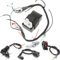 Alamor 150ccm 200cc 250cc Kabel Baum Webstuhl Magnetspulen Regler CDI für ATV Quad Bike