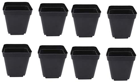 50 PCS carrés de Plants Pots de Plantes succulentes en Plastique Panier de Plantes de Fleurs pour Jardin 6x6x6.5cm (Noir)