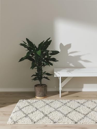 benuta Hochflorteppich SOHO Cream 80 x 300 cm - Kuschelig Weicher Teppich im Minimalistischen Look - Pflegeleicht - Fußbodenheizung Geeignet