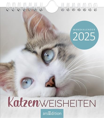 Wandkalender Katzenweisheiten 2025: Monatskalender 2025, mit 12 heraustrennbaren Postkarten für Katzenfreunde