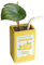 Funky Vase – lustig und dekorativ | Pflanzgefäß in Saftdose mit einzigartigem Design | Behälter für Stifte, originelles Blumengefäß | Ideal für Büro oder Haus
