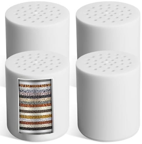 GOMETY Lot de 4 cartouches filtrantes de douche universelles à 22 niveaux - Cartouches filtrantes de rechange pour eau dure - Élimine le calcaire, le chlore, les métaux lourds - Filtre de douche pour