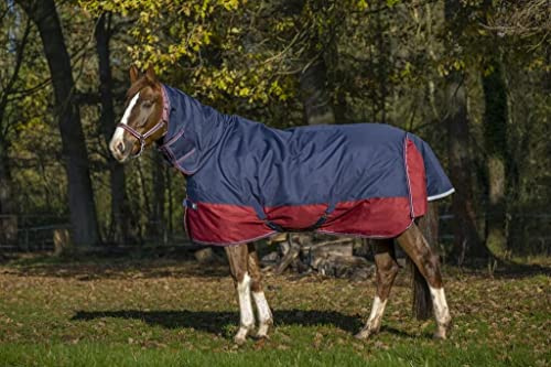Equitheme Combo-Hemd Tyrex New 1200D ? Farben ? Marineblau/Bordeaux ? Größe Decke ? 6.3
