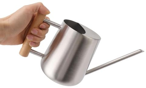 Cyrank Gießkanne Für Den Außenbereich, Gießkanne Klein 900 Ml Mit Langem Auslauf, Edelstahl Für Zimmerpflanzen Mit Holzgriff Für Den Außenbereich(Silber)