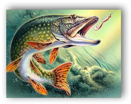 Hoobee 5D DIY Diamond Painting Fisch, Diamond Painting Bilder Tier, Diamond Painting Erwachsene, Vollbohrer Stickerei Kreuzstich Kunst Handwerk für Zuhause Wanddekoration 30x40cm-26
