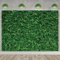3x2.4m Foto Hintergrund Grüne Blätter Natur Grünes Gras Wand Fotografie Hintergrund Neugeborenes Baby Shower Hochzeit Geburtstag Party Dekorationen Banner Fotowand Fotobox Fotostudio Requisiten
