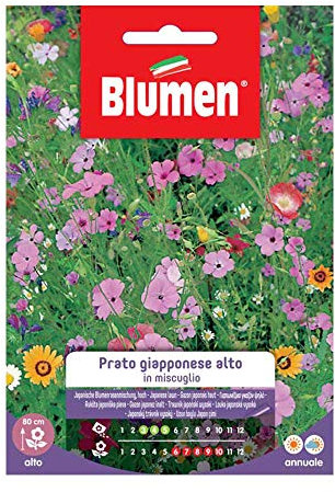 SEMI PRATO GIAPPONESE ALTO MIX BLUMEN