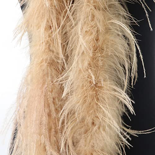 Flauschige Marabu Federboa, 200cm Federboa weiß Straußenfeder Schal Feder Boa Einfarbig Federdichten Feder Schal 20er jahre Charleston Burlesque Federboas Kostüm Zubehör Karneval Mottoparty