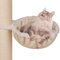 HAPPYPET Universal XXL Liegemulde für Kratzbaum Ø 45 cm - Schlafmulde für große Katzen, Maine Coon, Stabil bis 20 kg Traglast, Hängematte, Katzenliege, Katzenmulde, Creme