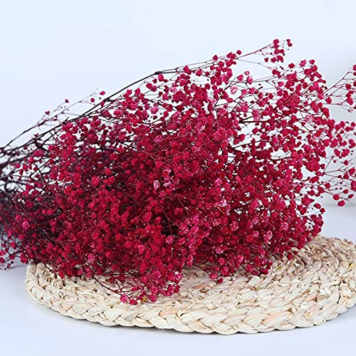 YIWOYI Bouquet de fleurs séchées naturelles de gypsophiles fraîches séchées pour gypsophile paniculata pour mariage, fête, décoration d'intérieur (rose rouge, 40–55 cm, 80 g)