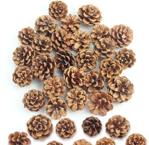 32pcs Piñas de Pino Naturales Navidad Mini Piñas 3-4 cm Decoración de Piñas Adecuadas para Arboles de Navidad Artesanías de Resina y Decoración del Hogar