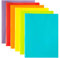 Youngever 12er Set Plastik Ordner, Ordner mit Zwei Taschen (Rainbow)