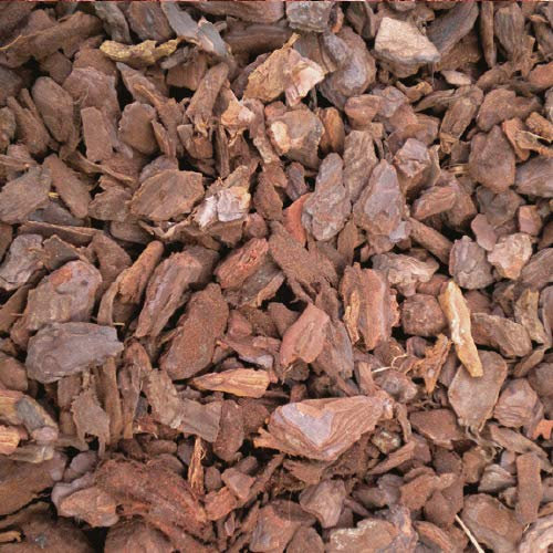 Corteccia di Pino 3 Lt per Pacciamatura Terreno Giardino Aiuole Rinvaso Orchidee