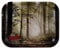 RAW Smokey Forest Large Tray aus Metall 3 Trays