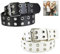 XLKJ 2 Stück Gothic Gürtel Nietengürtel Damen und Herren Doppelloch Gürtel Mode Punk Gürtel Style Hosen Gürtel