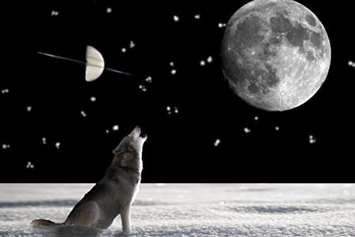 hansepuzzle 29707 - Wolf Puzzle 2000 Teile - Tierwelt Motiv mit hochwertiger Aufbewahrung: Kartonbox und wiederverschließbarem Beutel - Format 90 × 60 cm