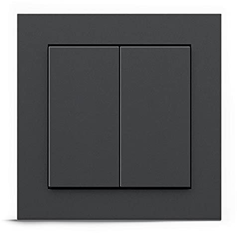 GIRA + Senic Interruptor Inteligente Friends of Hue | Interruptor Inalámbrico con Regulador de Luz para Bombillas Inteligentes Philips Hue | Sin Batería y Sin Carga | Antracita