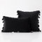 Bestenrose 2er Set Samt Kissenbezug mit Quaste Kissenhülle Dekorative Dekokissen Kissen Couchkissen Sofakissen für Wohnzimmer Schlafzimmer (45x45cm, Schwarz)