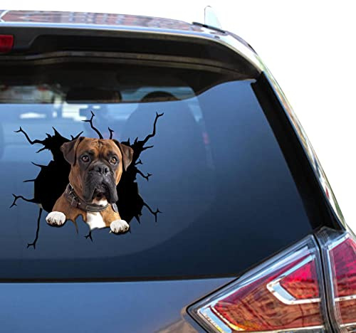 Camellia Print Boxer Aufkleber für Autofenster, wasserdicht, UV-beständig, lebendiges Design, einfache Anwendung und lange Haltbarkeit. (Boxer Autoaufkleber)