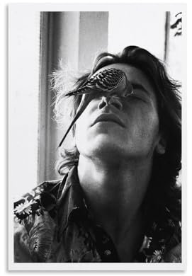 ZBSXLBNG River Phoenix Poster Dekorative Malerei Leinwand Wandkunst Wohnzimmer Poster Schlafzimmer Malerei 12x18inch(30x45cm)