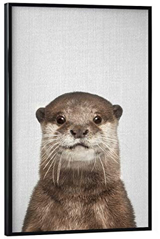 artboxONE Poster mit schwarzem Rahmen 90x60 cm Für Kinder Otter - Colorful - Bild Animal Animals Baby