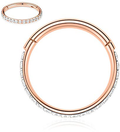 Nose Hoop Ring Nose Helix Piercing Jewelry Septum Nose ring Septum Clicker Nose Helix Jewelry Helix Tragus Daith Earrings Hoop Helix Hoop Earring Cartilage Hoop Earrings Lip Rings 18G 5mm Rose Gold