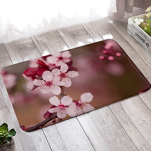 Paillasson Interieur, Tapis Entree Terracotta Blanc Rose Prune Bossom 60X180cm pour Grattoirs à Chaussures, Idéal pour L'Intérieur