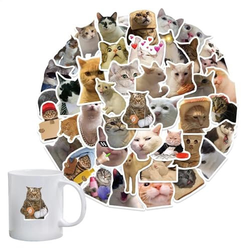 Generisch Süße Katzenaufkleber Aufkleber | Funny Kitten Sticker Pack 50pcs | Nette lustige Aufkleber für Katzenliebhaber, Laptop, Autos, Skateboard, Wasserflaschen, Gepäck