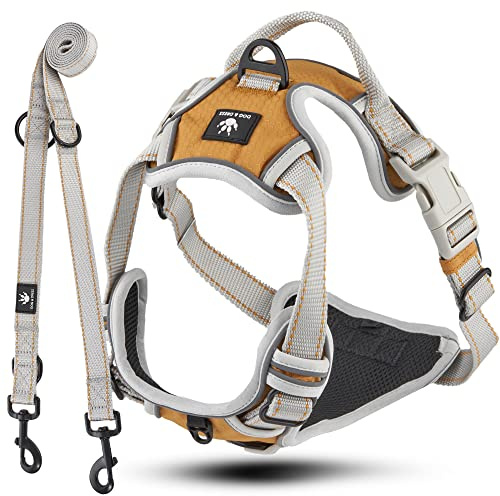 Dog & Dress Hundegeschirr & Hundeleine Set – Verstellbares, Gepolstertes & Reflektierendes Geschirr für Hunde – Atmungsaktives Hundezubehör für große & mittelgroße Hunde - Gold S 51-66 cm Brustumfang