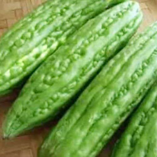100 Pz Verdura Verde Momordica Charantia Zucca Amara Semi di Melone Pianta da Giardino Fiore Albero da Frutto Semi di Ortaggi Semi Di Zucca Amara
