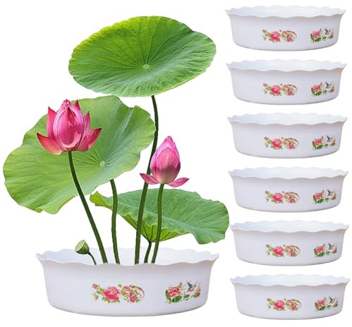Muzrunq Lotus Bowl Pflanzer 6PCS Lotus Bowl Hydroponic Pflanzer ohne Abfluss rund dekorative Schüssel Pflanzer für Wasserlilie Narzisse Pflanzen 7x2,3