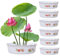 Muzrunq Lotus Bowl Pflanzer 6PCS Lotus Bowl Hydroponic Pflanzer ohne Abfluss rund dekorative Schüssel Pflanzer für Wasserlilie Narzisse Pflanzen 7x2,3
